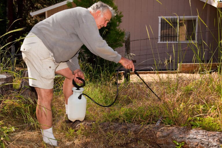 man killing weeds with pressurized spray bottle